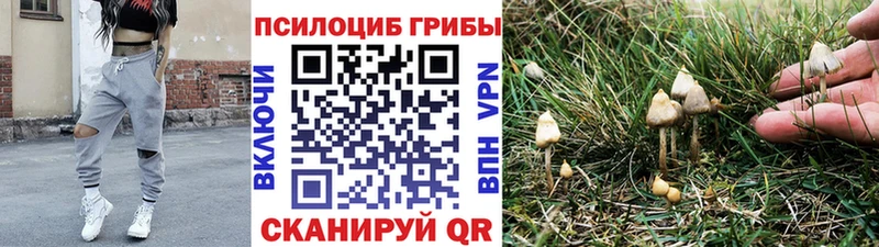 Псилоцибиновые грибы Magic Shrooms  Купить закладки  Себеж 