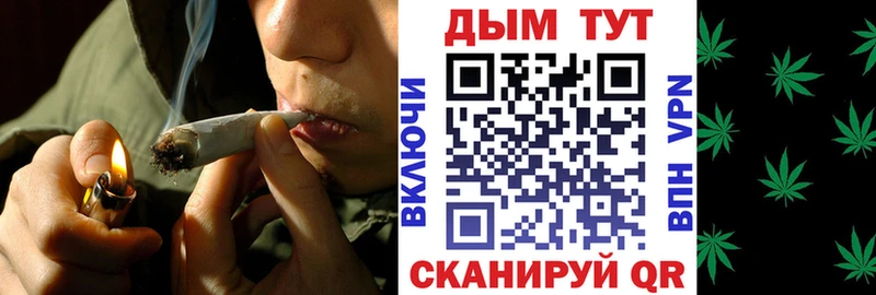 Купить где  Себеж  МАРИХУАНА конопля 